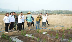 FB_IMG_1790821544465-1536x1024